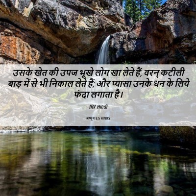 Picture 06 - अय्यूब 5:5 HINIRV - उसके खेत की उपज - Bible Verse Picture