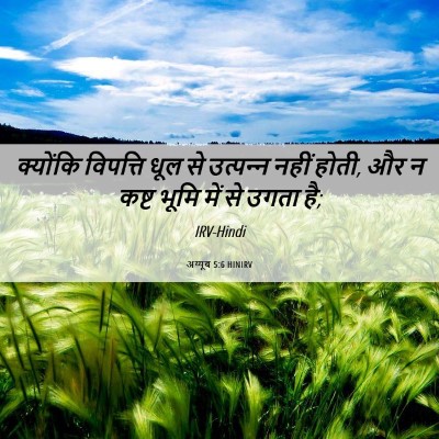 Picture 06 - अय्यूब 5:6 HINIRV - क्योंकि विपत्ति - Bible Verse Picture