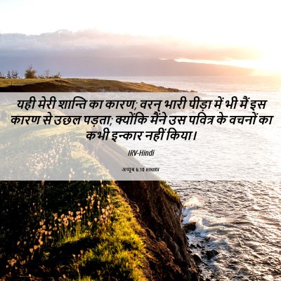 Picture 06 - अय्यूब 6:10 HINIRV - यही मेरी शान्ति का - Bible Verse Picture