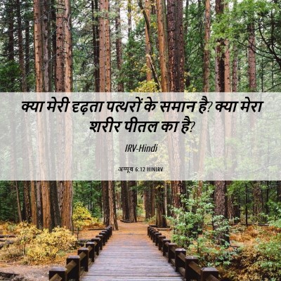 Picture 06 - अय्यूब 6:12 HINIRV - क्या मेरी दृढ़ता - Bible Verse Picture
