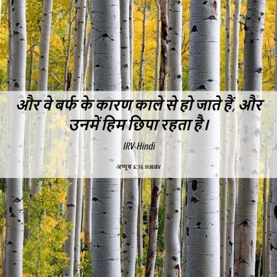Picture 06 - अय्यूब 6:16 HINIRV - और वे बर्फ के कारण - Bible Verse Picture