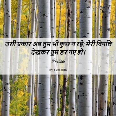 Picture 06 - अय्यूब 6:21 HINIRV - उसी प्रकार अब तुम - Bible Verse Picture
