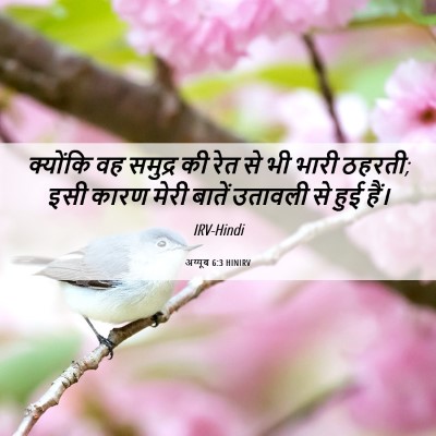 Picture 06 - अय्यूब 6:3 HINIRV - क्योंकि वह समुद्र - Bible Verse Picture