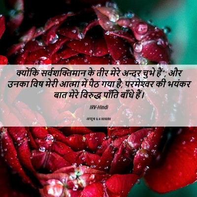 Picture 06 - अय्यूब 6:4 HINIRV - क्योंकि - Bible Verse Picture