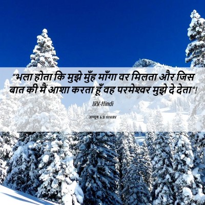 Picture 06 - अय्यूब 6:8 HINIRV - “भला होता कि मुझे - Bible Verse Picture