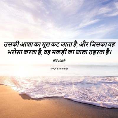 Picture 06 - अय्यूब 8:14 HINIRV - उसकी आशा का मूल कट - Bible Verse Picture