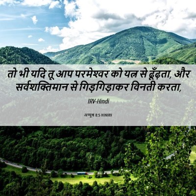 Picture 06 - अय्यूब 8:5 HINIRV - तो भी यदि तू आप - Bible Verse Picture