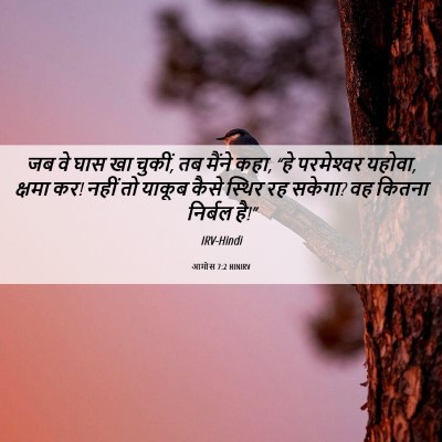 Picture 06 - आमोस 7:2 HINIRV - जब वे घास खा चुकीं, - Bible Verse Picture
