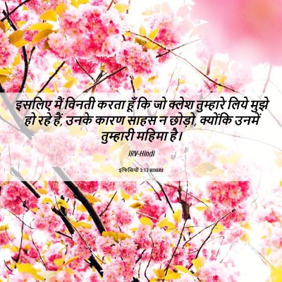 Picture 06 - इफिसियों 3:13 HINIRV - इसलिए मैं विनती - Bible Verse Picture