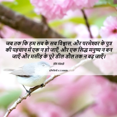 Picture 06 - इफिसियों 4:13 HINIRV - जब तक कि हम सब के सब - Bible Verse Picture