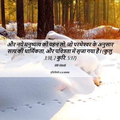 Picture 06 - इफिसियों 4:24 HINIRV - और नये मनुष्यत्व - Bible Verse Picture