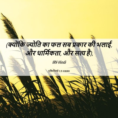 Picture 06 - इफिसियों 5:9 HINIRV - (क्योंकि ज्योति का - Bible Verse Picture