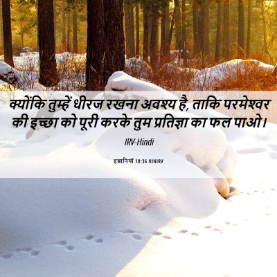 Picture 06 - इब्रानियों 10:36 HINIRV - क्योंकि तुम्हें - Bible Verse Picture