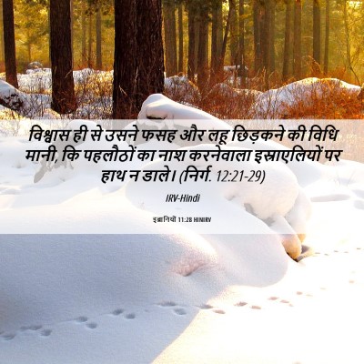 Picture 06 - इब्रानियों 11:28 HINIRV - विश्वास ही से उसने - Bible Verse Picture