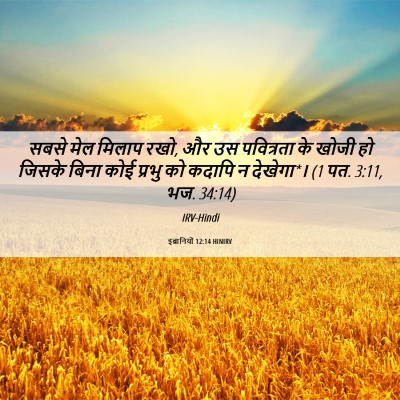 Picture 06 - इब्रानियों 12:14 HINIRV - सबसे मेल मिलाप रखो, - Bible Verse Picture