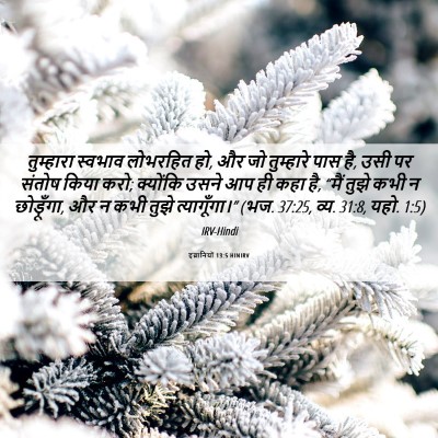 Picture 06 - इब्रानियों 13:5 HINIRV - तुम्हारा स्वभाव - Bible Verse Picture