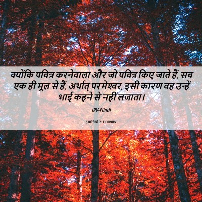 Picture 06 - इब्रानियों 2:11 HINIRV - क्योंकि पवित्र - Bible Verse Picture