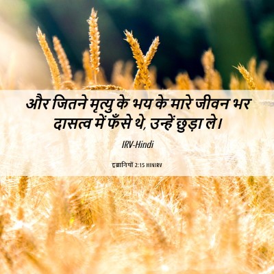 Picture 06 - इब्रानियों 2:15 HINIRV - और जितने मृत्यु के - Bible Verse Picture
