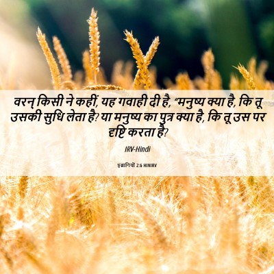 Picture 06 - इब्रानियों 2:6 HINIRV - वरन् किसी ने कहीं, - Bible Verse Picture