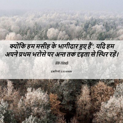 Picture 06 - इब्रानियों 3:14 HINIRV - क्योंकि हम मसीह के - Bible Verse Picture
