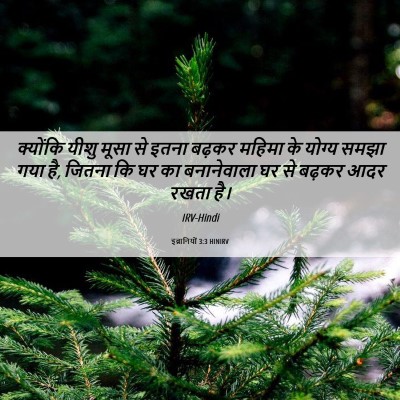 Picture 06 - इब्रानियों 3:3 HINIRV - क्योंकि यीशु मूसा - Bible Verse Picture