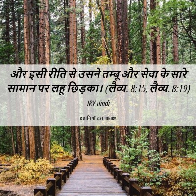 Picture 06 - इब्रानियों 9:21 HINIRV - और इसी रीति से उसने - Bible Verse Picture