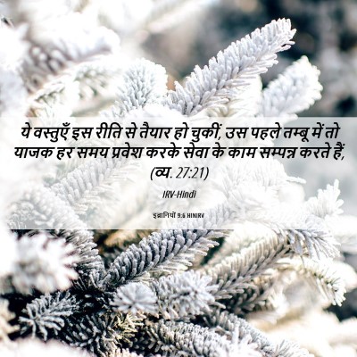 Picture 06 - इब्रानियों 9:6 HINIRV - ये वस्तुएँ इस रीति - Bible Verse Picture