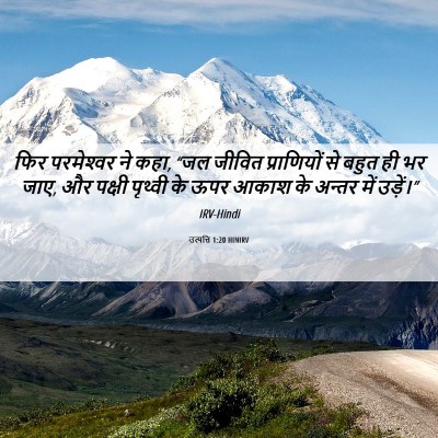 Picture 06 - उत्पत्ति 1:20 HINIRV - फिर परमेश्‍वर ने - Bible Verse Picture
