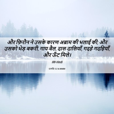 Picture 06 - उत्पत्ति 12:16 HINIRV - और फ़िरौन ने उसके - Bible Verse Picture