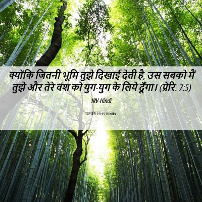 Picture 06 - उत्पत्ति 13:15 HINIRV - क्योंकि जितनी - Bible Verse Picture