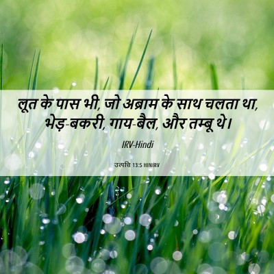 Picture 06 - उत्पत्ति 13:5 HINIRV - लूत के पास भी, जो - Bible Verse Picture