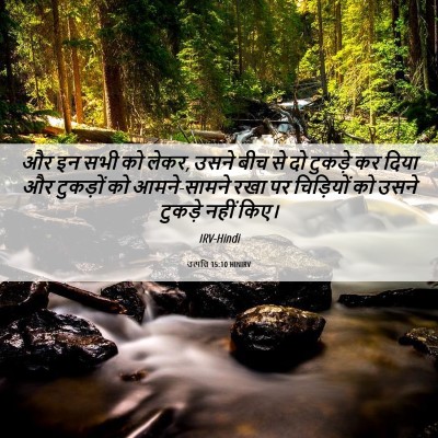 Picture 06 - उत्पत्ति 15:10 HINIRV - और इन सभी को लेकर, - Bible Verse Picture