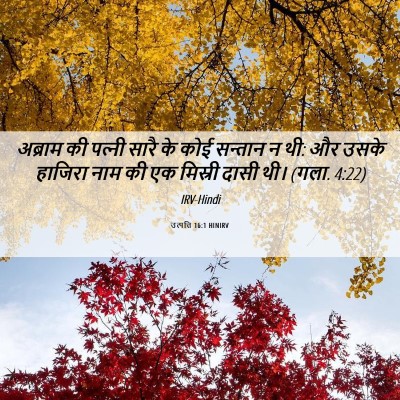 Picture 06 - उत्पत्ति 16:1 HINIRV - अब्राम की पत्‍नी - Bible Verse Picture