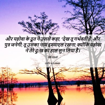 Picture 06 - उत्पत्ति 16:11 HINIRV - और यहोवा के दूत ने - Bible Verse Picture
