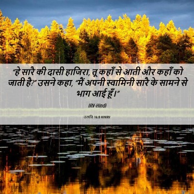 Picture 06 - उत्पत्ति 16:8 HINIRV - “हे सारै की दासी - Bible Verse Picture