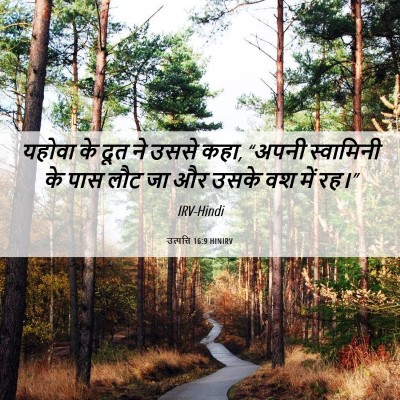 Picture 06 - उत्पत्ति 16:9 HINIRV - यहोवा के दूत ने - Bible Verse Picture