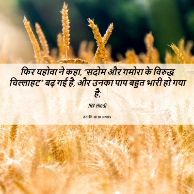 Picture 06 - उत्पत्ति 18:20 HINIRV - फिर यहोवा ने कहा, - Bible Verse Picture