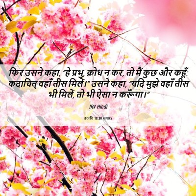 Picture 06 - उत्पत्ति 18:30 HINIRV - फिर उसने कहा, “हे - Bible Verse Picture