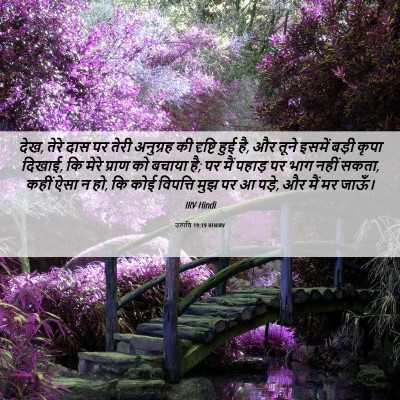 Picture 06 - उत्पत्ति 19:19 HINIRV - देख, तेरे दास पर - Bible Verse Picture