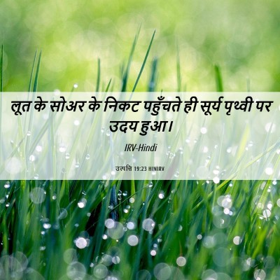 Picture 06 - उत्पत्ति 19:23 HINIRV - लूत के सोअर के निकट - Bible Verse Picture