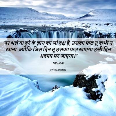 Picture 06 - उत्पत्ति 2:17 HINIRV - पर भले या बुरे के - Bible Verse Picture
