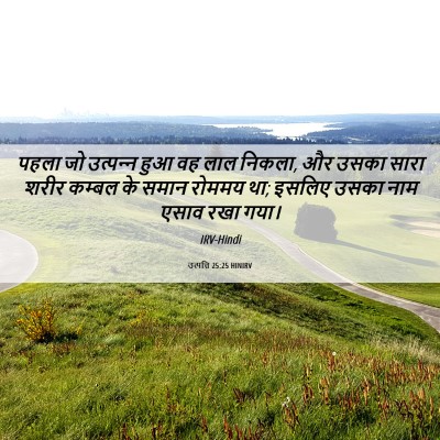 Picture 06 - उत्पत्ति 25:25 HINIRV - पहला जो उत्‍पन्‍न - Bible Verse Picture