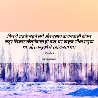 Picture 06 - उत्पत्ति 25:27 HINIRV - फिर वे लड़के बढ़ने - Bible Verse Picture
