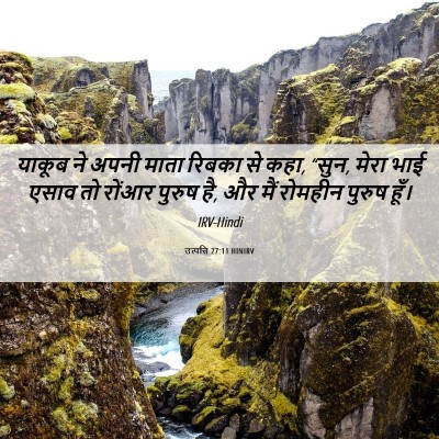 Picture 06 - उत्पत्ति 27:11 HINIRV - याकूब ने अपनी माता - Bible Verse Picture
