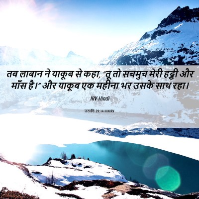 Picture 06 - उत्पत्ति 29:14 HINIRV - तब लाबान ने याकूब - Bible Verse Picture