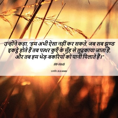 Picture 06 - उत्पत्ति 29:8 HINIRV - उन्होंने कहा, “हम - Bible Verse Picture