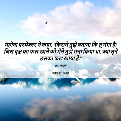 Picture 06 - उत्पत्ति 3:11 HINIRV - यहोवा परमेश्‍वर - Bible Verse Picture