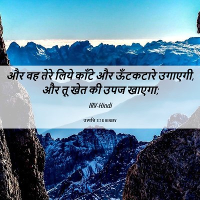 Picture 06 - उत्पत्ति 3:18 HINIRV - और वह तेरे लिये - Bible Verse Picture