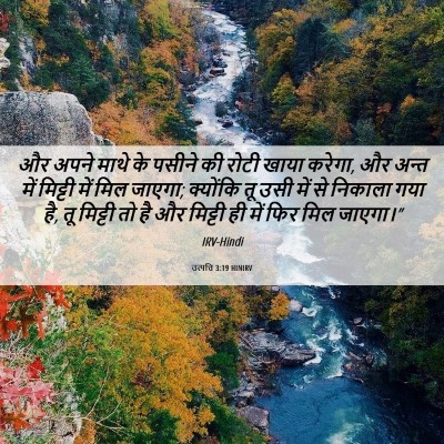 Picture 06 - उत्पत्ति 3:19 HINIRV - और अपने माथे के - Bible Verse Picture