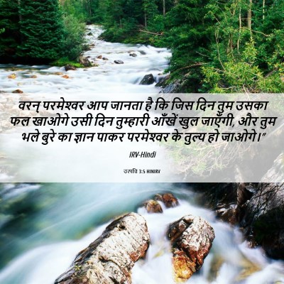 Picture 06 - उत्पत्ति 3:5 HINIRV - वरन् परमेश्‍वर आप - Bible Verse Picture